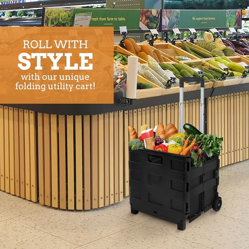 Space-Saving 2 Wheel Utility Cart: Durable, Lightweight & Versatile - Black