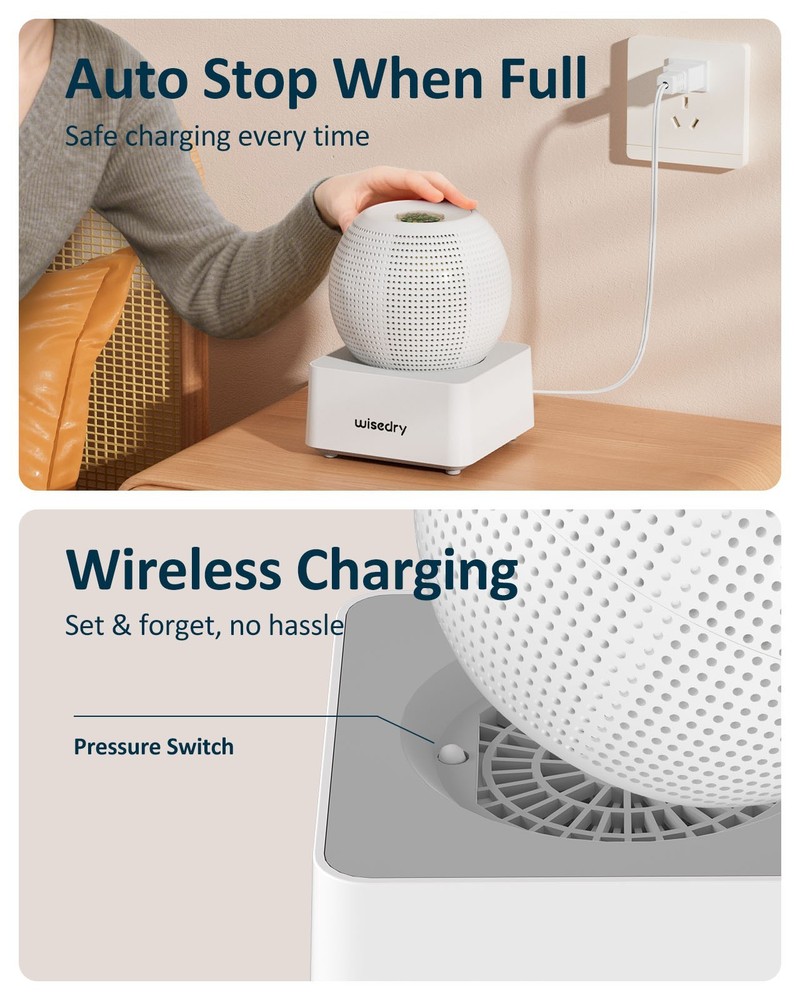 wisedry Small Desktop Spherical Dehumidifier