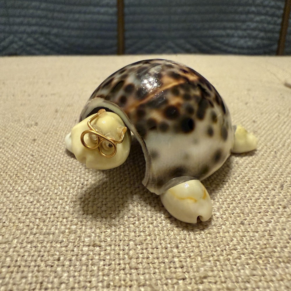 Hand Made Bobble Head Cowrie Shell Turtle With Glasses