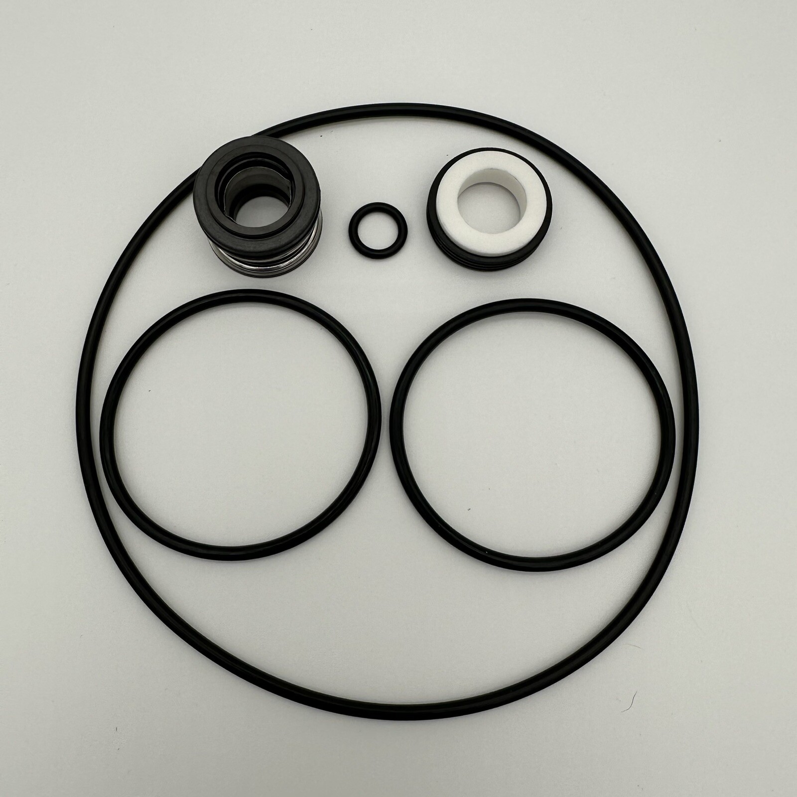 Aqua-Flo Flo-Master AquaFlo XP2 & XP2E Pool Pump Shaft Seal & O-ring Kit