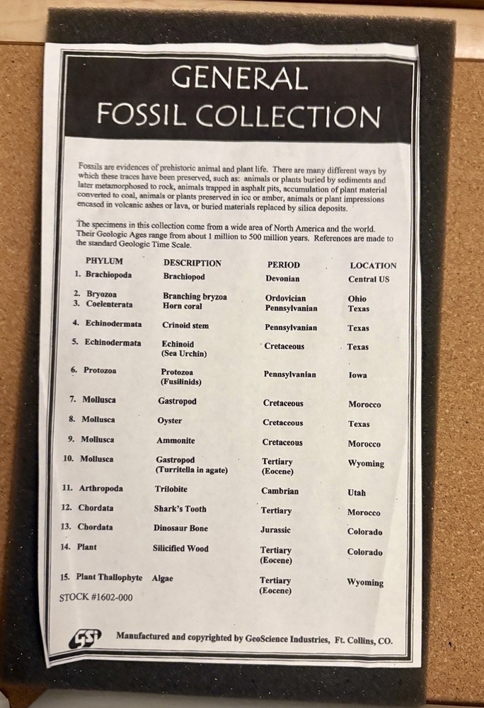 Authentic General Fossil Collection - 15 Specimens in Case w/Chart Geoscience