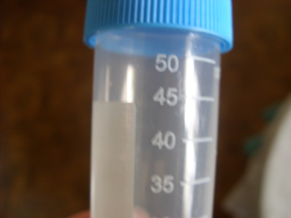 polyrthylene printed 50ml pro cent tubes 30