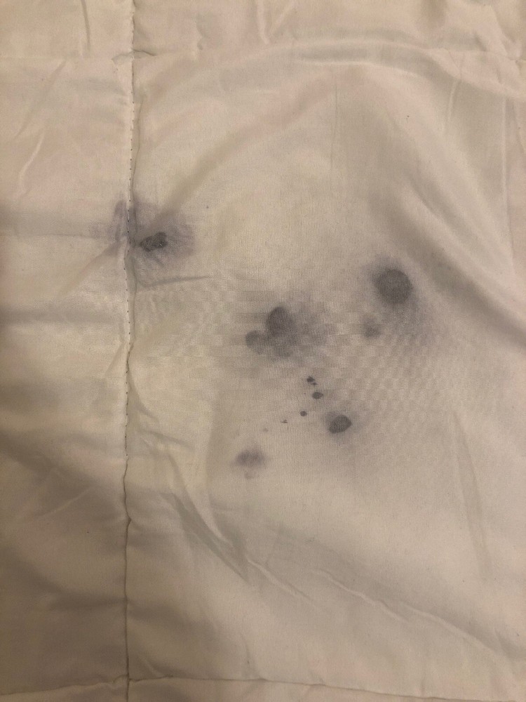 TwinXL White Duvet Insert