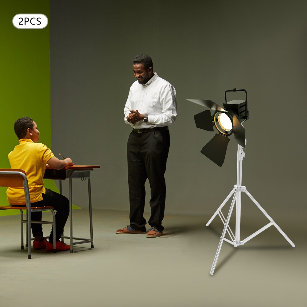 2pcs Adjustable Photography Light Stand Kit with Softbox and Backdrop Support
