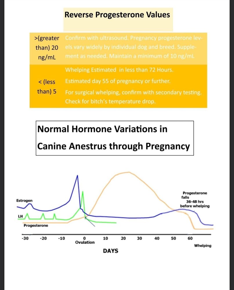 Wondfo Vet Finecare Progesterone Reader *Authorized Distributor*