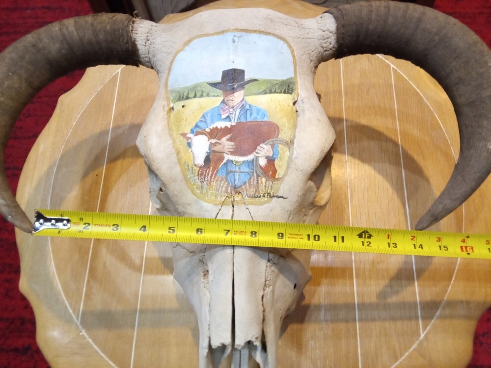 Charles E. Palmer Signed and Painted Bison Skull