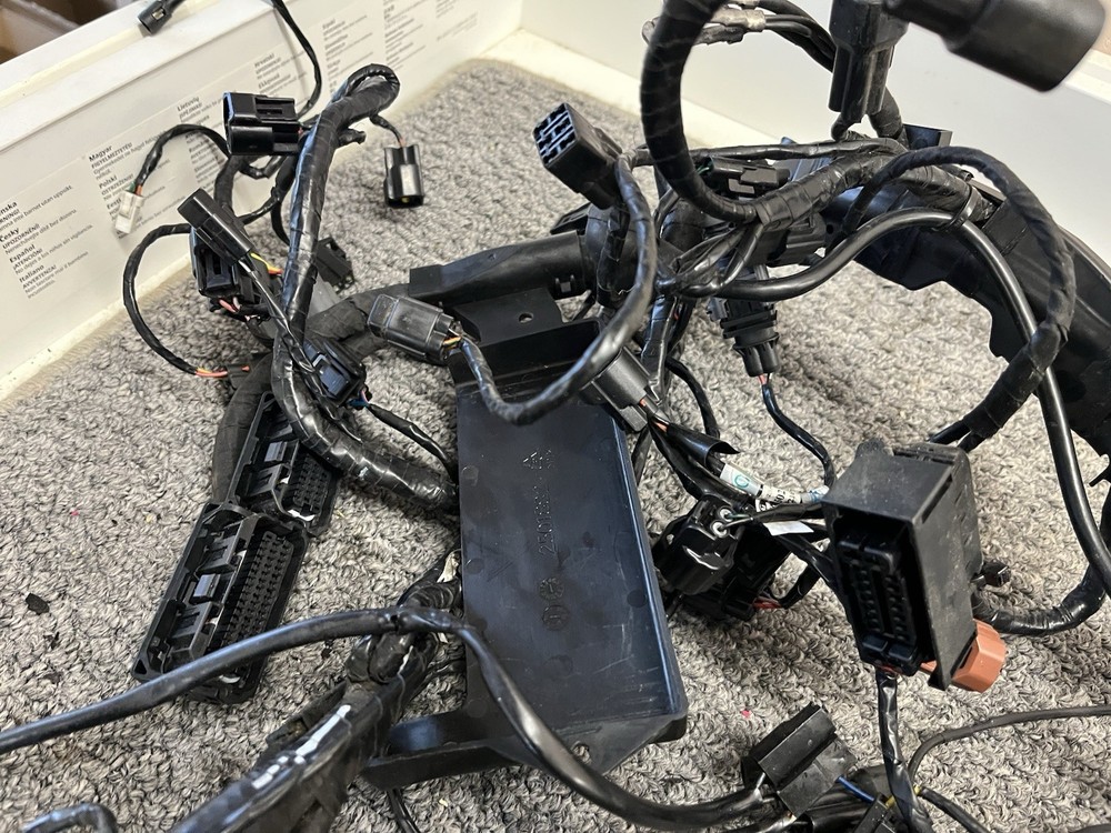 Triumph 765rs Wiring Loom With Alarm