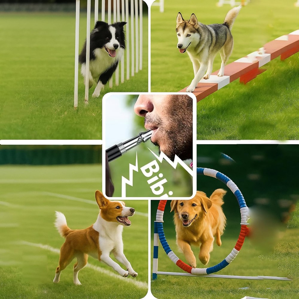 Adjustable Dog Whistle Set with Clicker