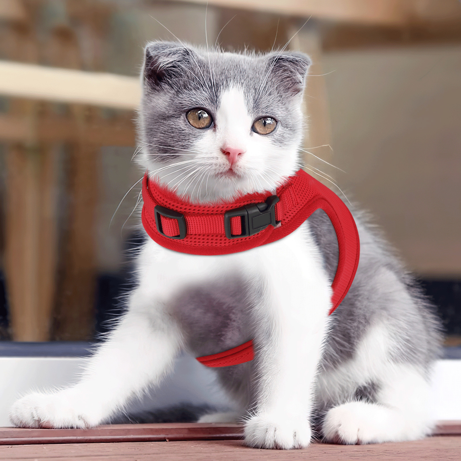 Breathable Mesh Cat Pet Harness Adjustable Escape Proof Jacket Chest Red Vest