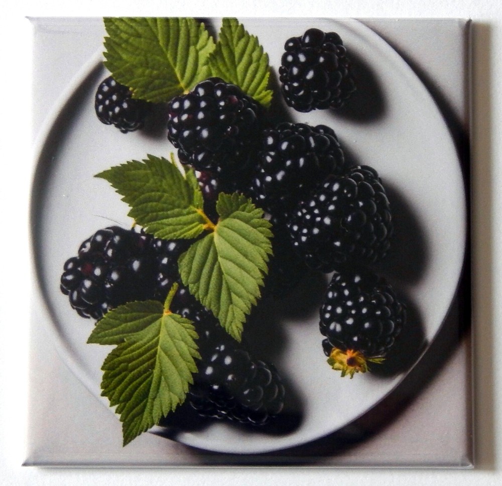 Blackberries FRIDGE MAGNET "style L"