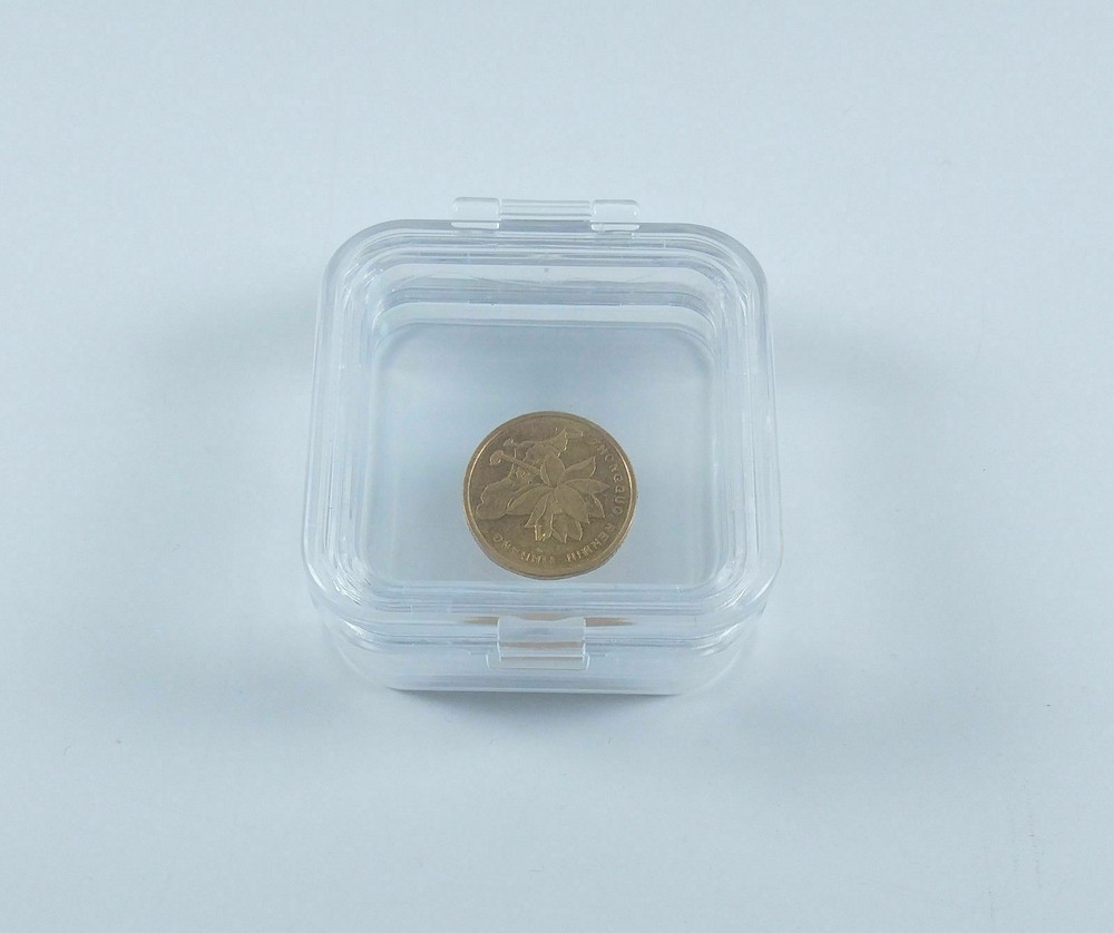 Hinged Display Box Jewelry Boxes Clear Membrane case Denture False Teeth Case