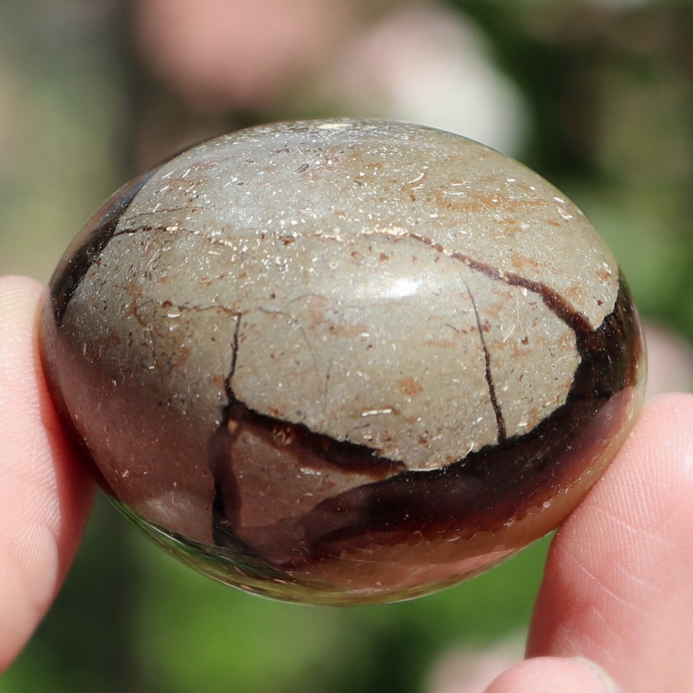 Polished Septarian Nodule (SEP45)