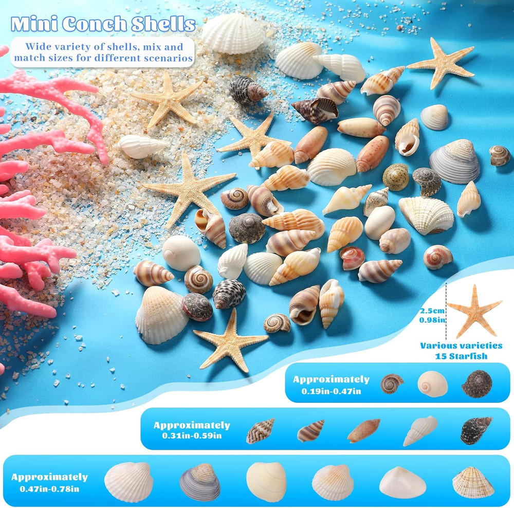 1200 Pcs Tiny Sea Shells, Seashells for Crafts with Small Shells Starfish Mixed