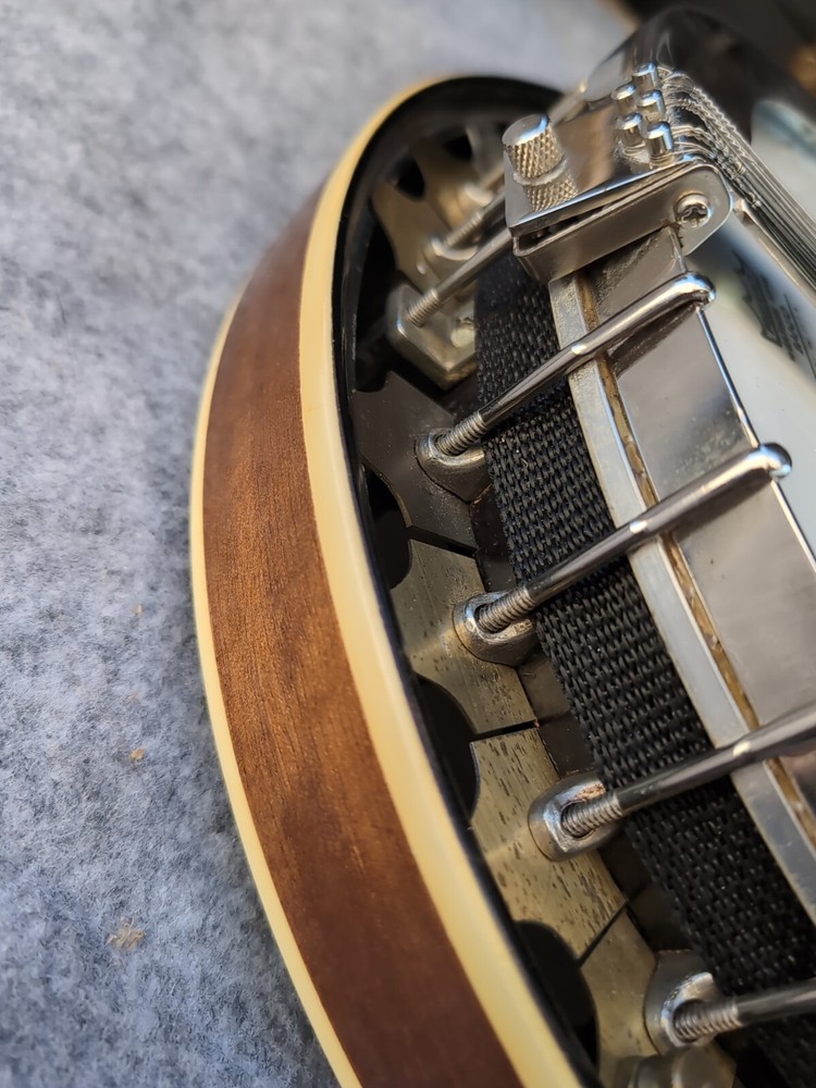 vega banjo 4 string With Case