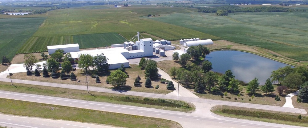 Food plot seed Soybeans 5lbs Free shipping