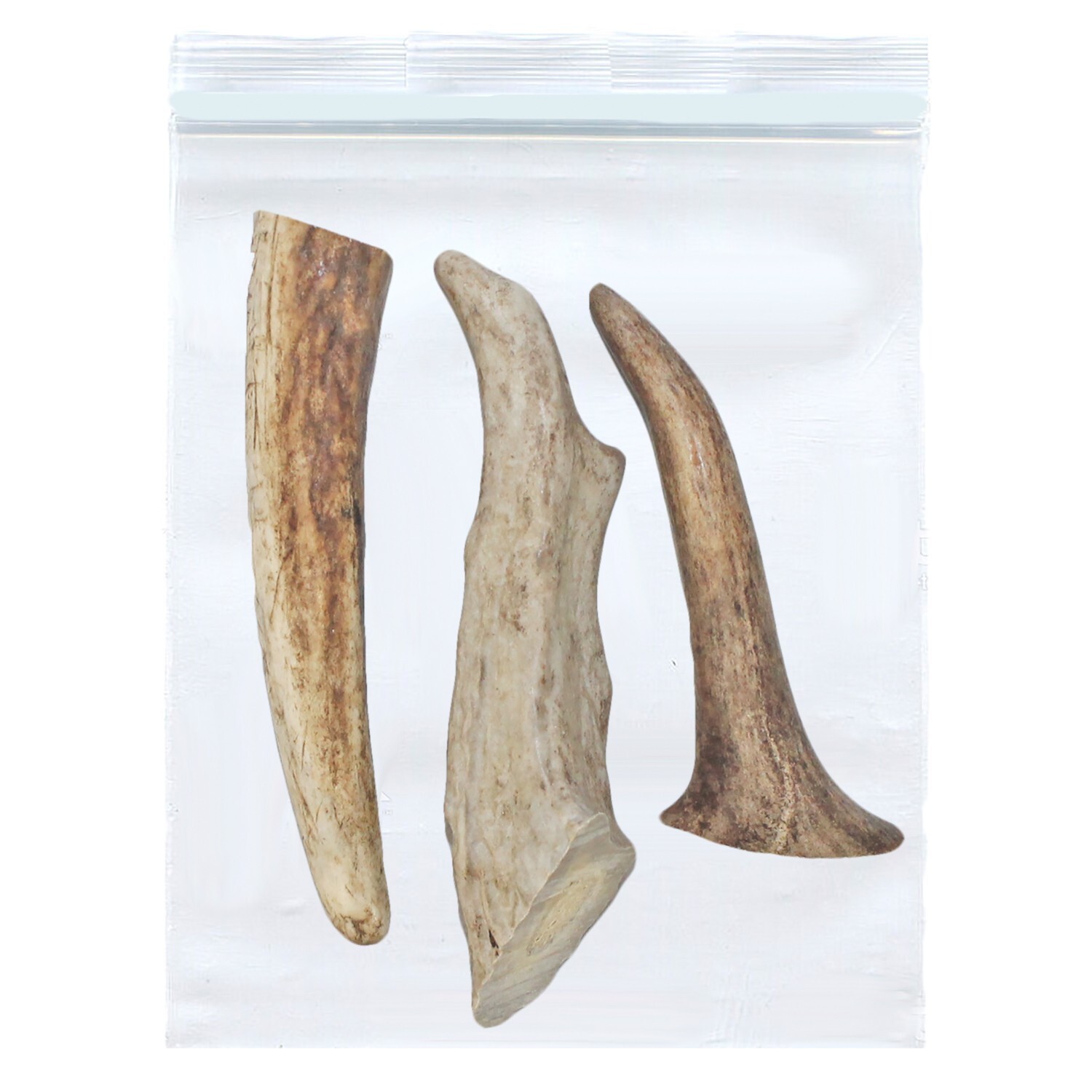 Antler Chews - Natural Source - Food for Chinchillas, squirrels and more