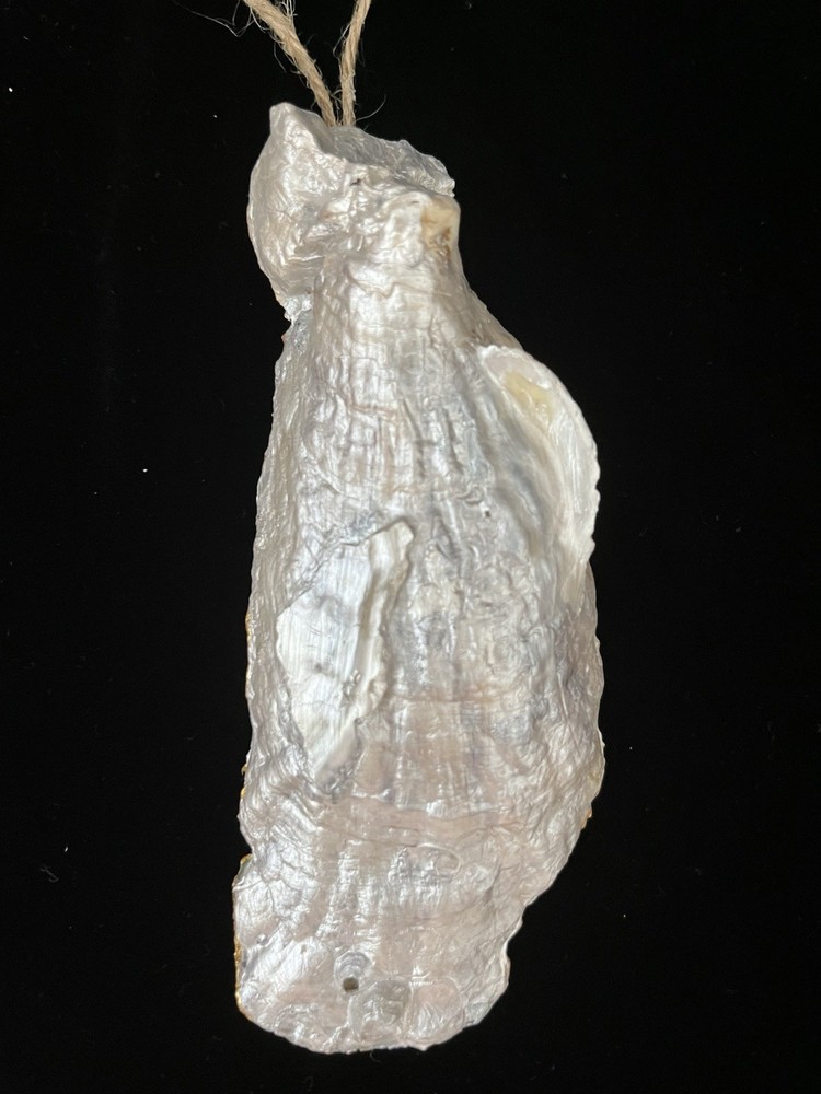 Handmade Decoupage on Oyster Shell Turtle Beach Theme