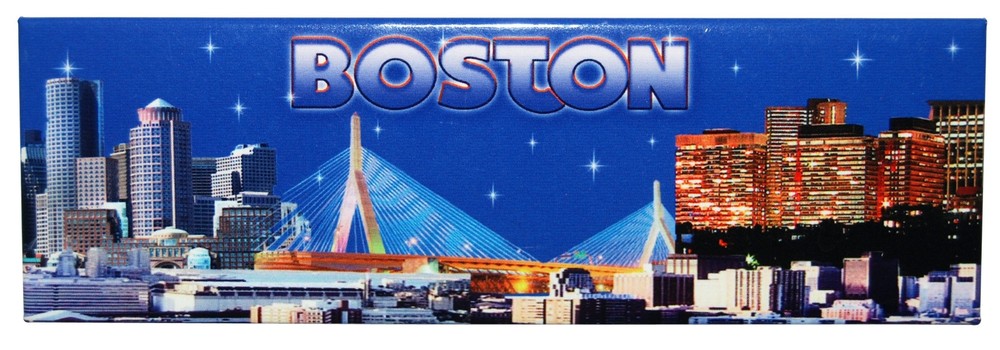 Boston Skyline Tin Magnet 5in