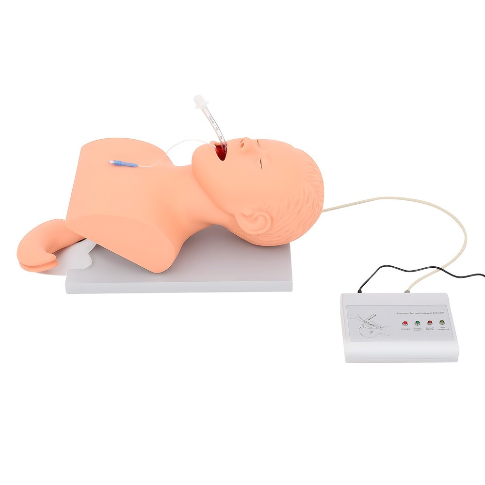 Intubation Manikin Study Teaching Simulator Airway Management Trainer Model