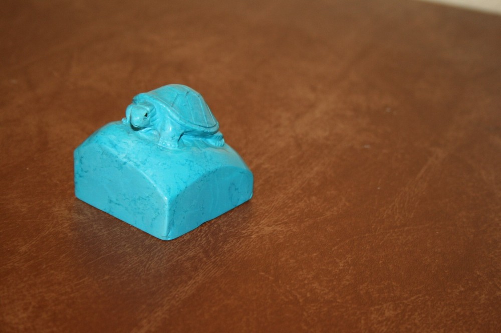Turtle on a Rock
