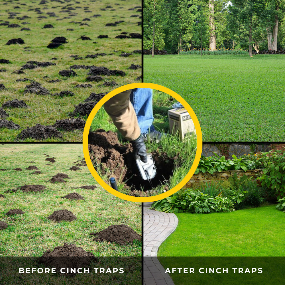 3 small gopher traps Professional-Grade, Heavy-Duty Reusable Trapping System