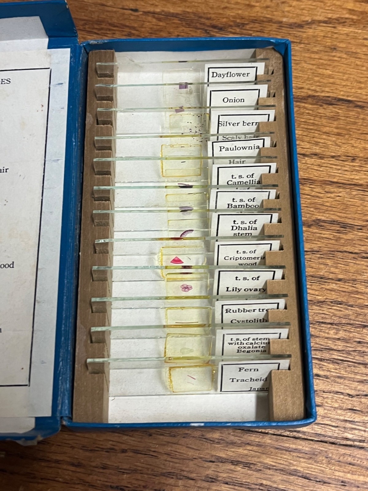 Vintage Tasco Microscope Slides Scientific Homeschool Lot Animals Plants Fibres