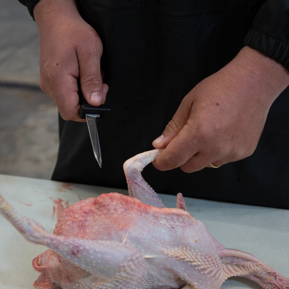 Yardbird Poultry Processing Knife, Dual Cutting-Edge Tip, 47185