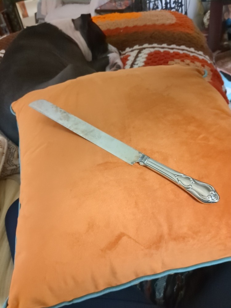 14" Knife  Oneida Silverplated