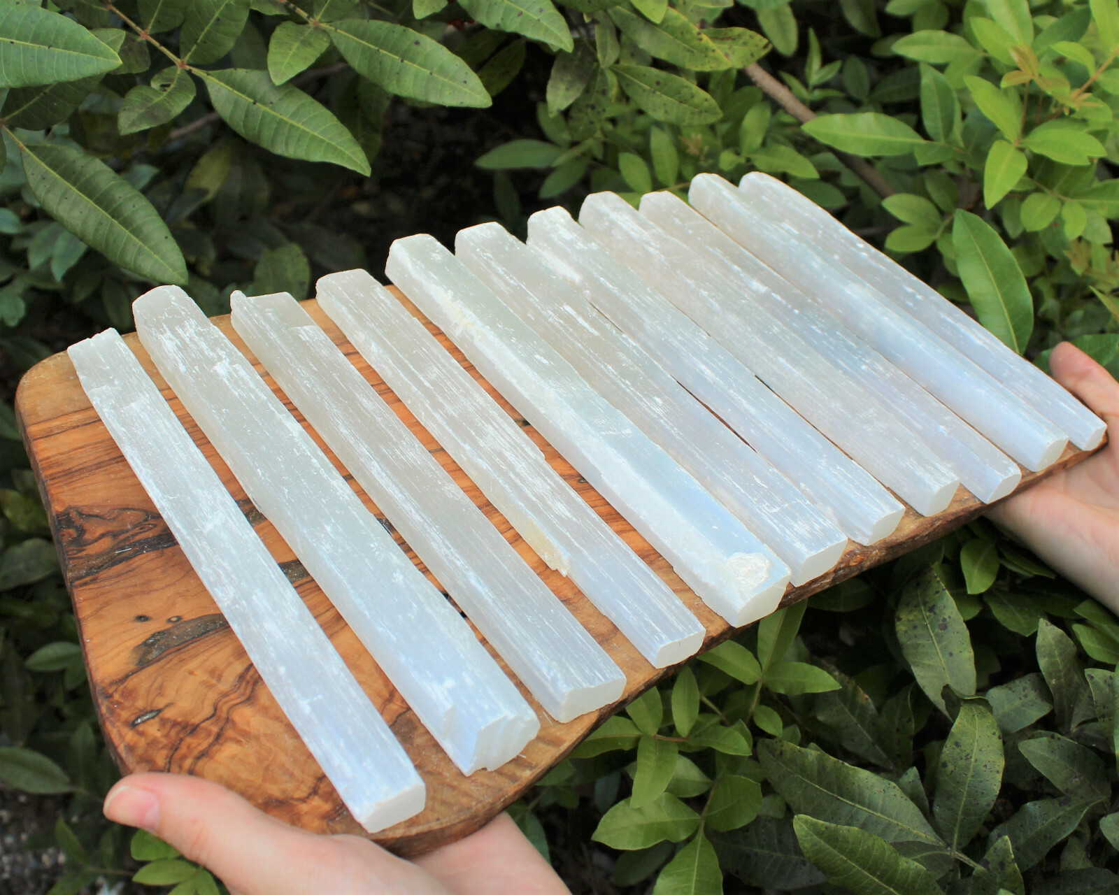 2 lb Bulk Wholesale Lot 7" - 8" Selenite Logs Crystal Sticks Wand Blade 2 Pounds