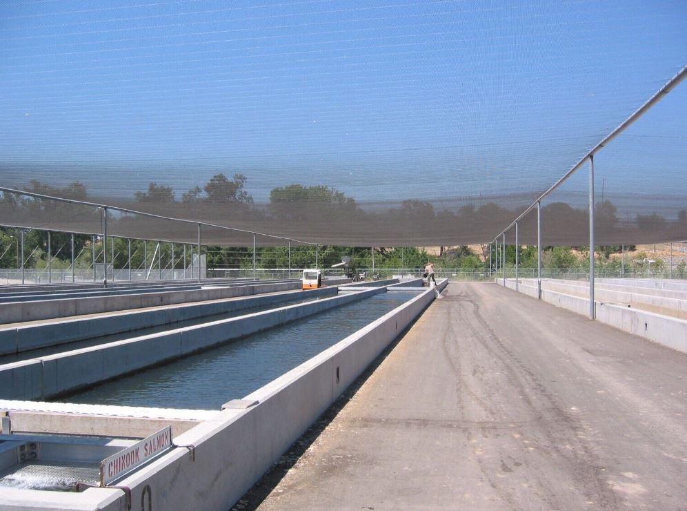 NETTEXX FLIGHTGARD G1-G2 Bird Netting 1"- 2" MESH - MADE IN THE USA