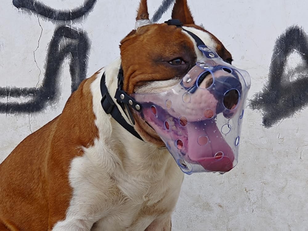 Pitbull Muzzle, Basket Muzzle for Lar Dogs Rottweiler to