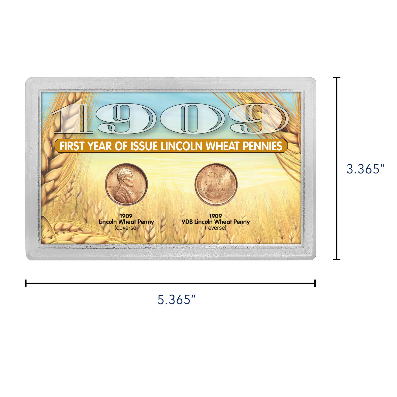 NEW 1909 and 1909 VDB “First-Year of Issue" Lincoln Wheat-Ear Pennies 13749