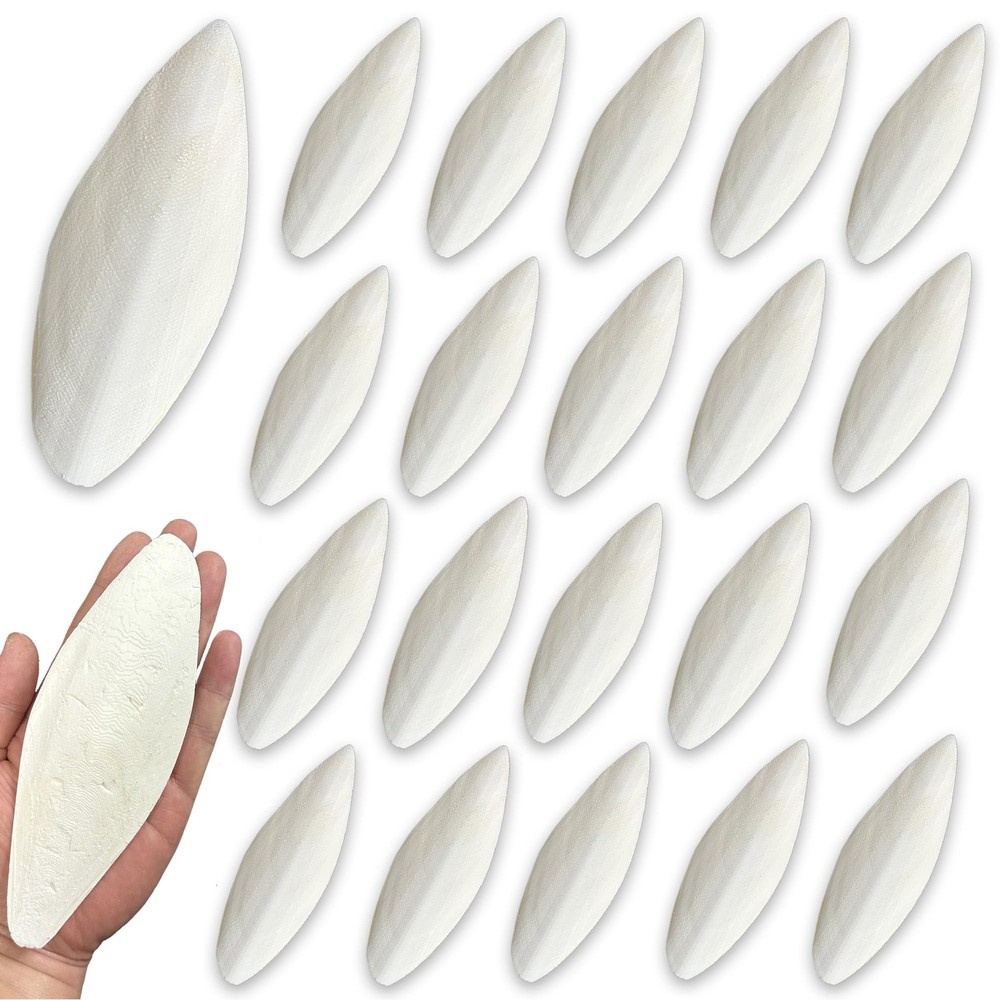 Bird Cuttlebone for Parakeets Cuttlebone for Birds Natural Cuttlefish Bone Bulk
