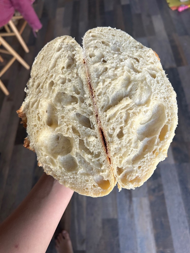 Dehydrated Sourdough Starter