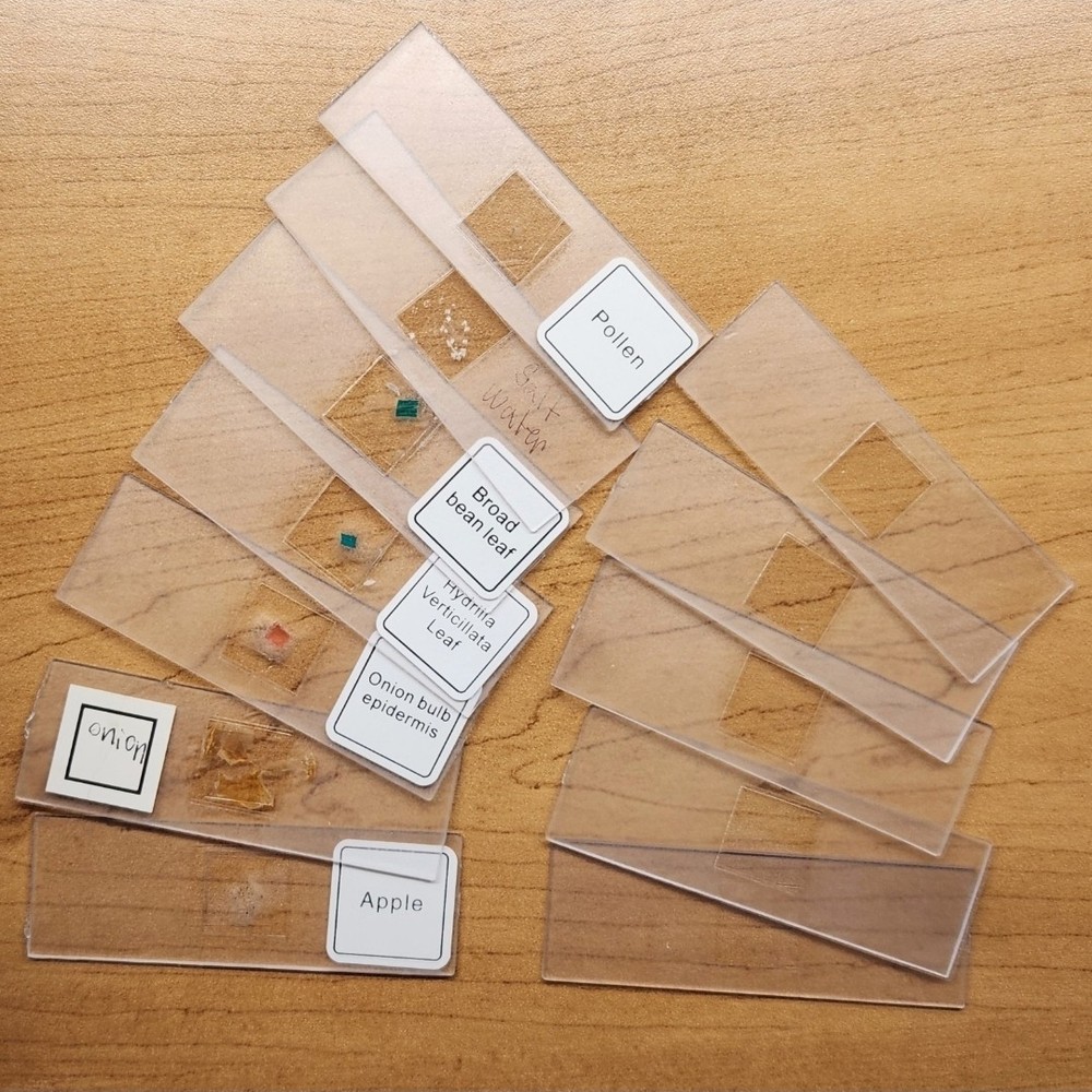 Discovery #Mindblown Microscope Set STEM Activity Slides Test Tubes Tools Pietri