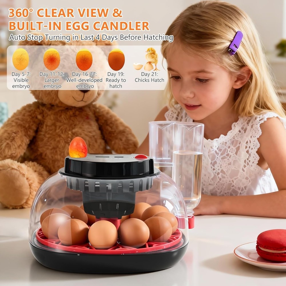 Incubators for Hatching Eggs - 12 Egg Capacity, Egg Incubator with Automatic ...