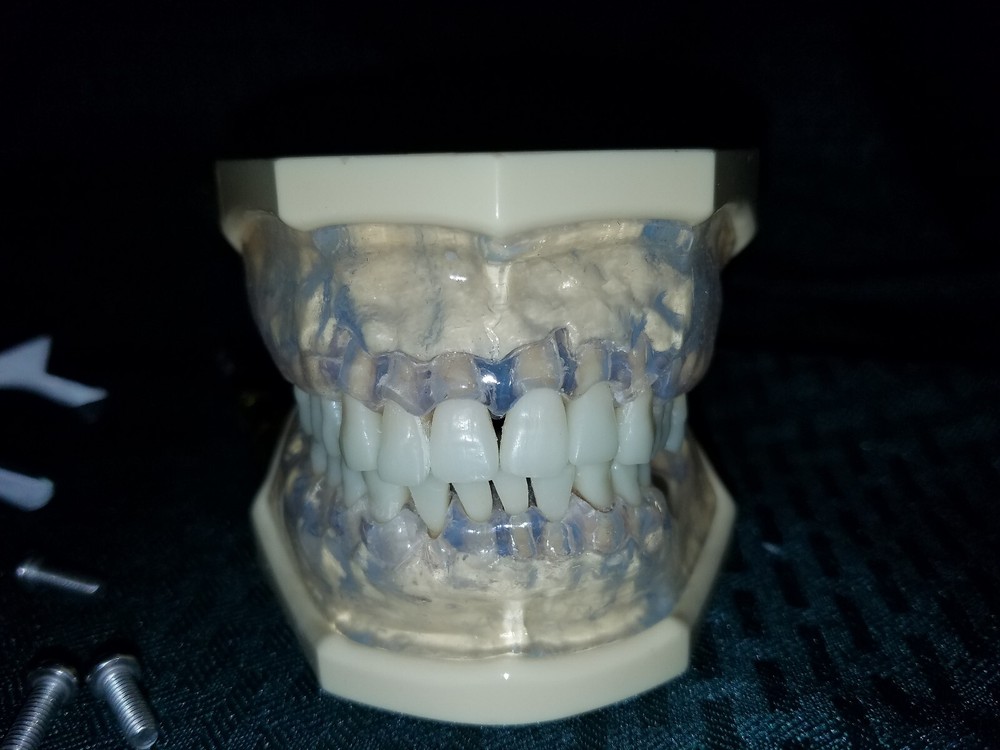 Dental Model Nissin. practical training. education.