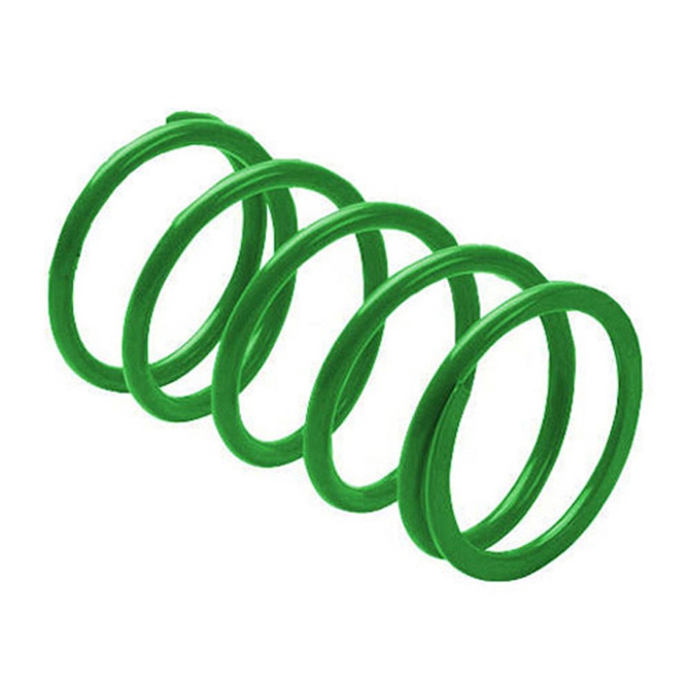 EPI Erlandson Clutch Spring - Green PEBS8