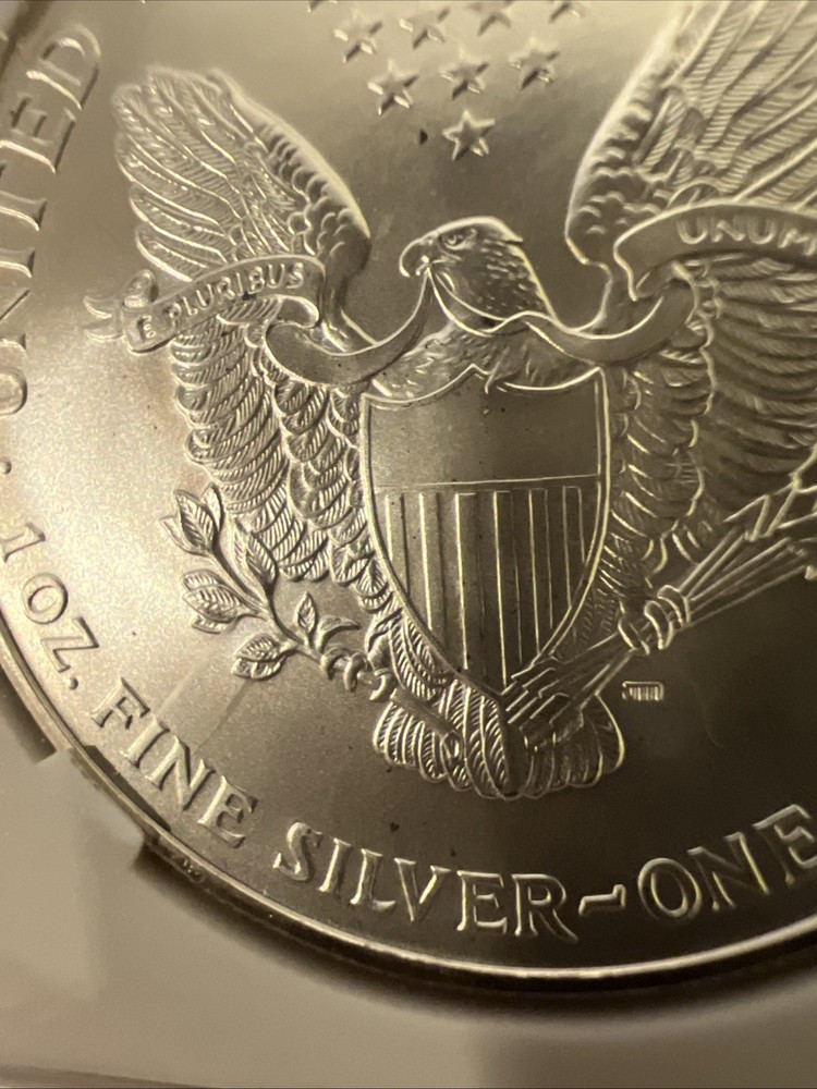 1996 SILVER EAGLE Coin Highest Grade