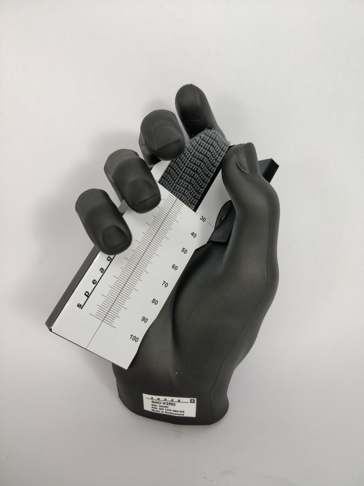 Schmid & Partner Engineering SHO V2RD & SHO V2LD SAM Phantom