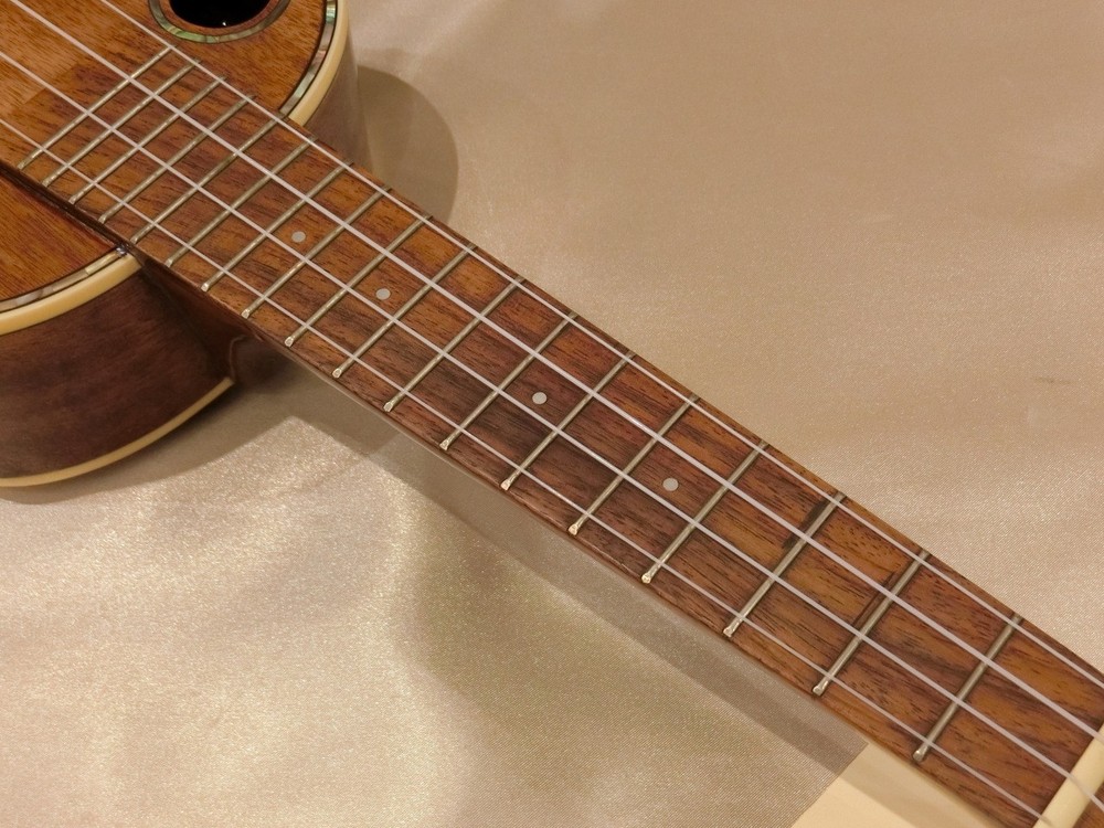 Riptide [Display special price] EUC-5NG