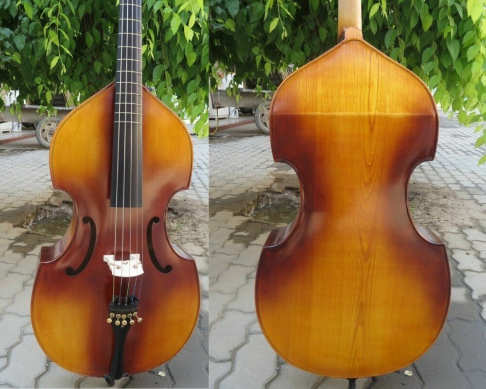 Solid wood SONG Brand Maestro install Frets 5 strings 29" viola da gamba