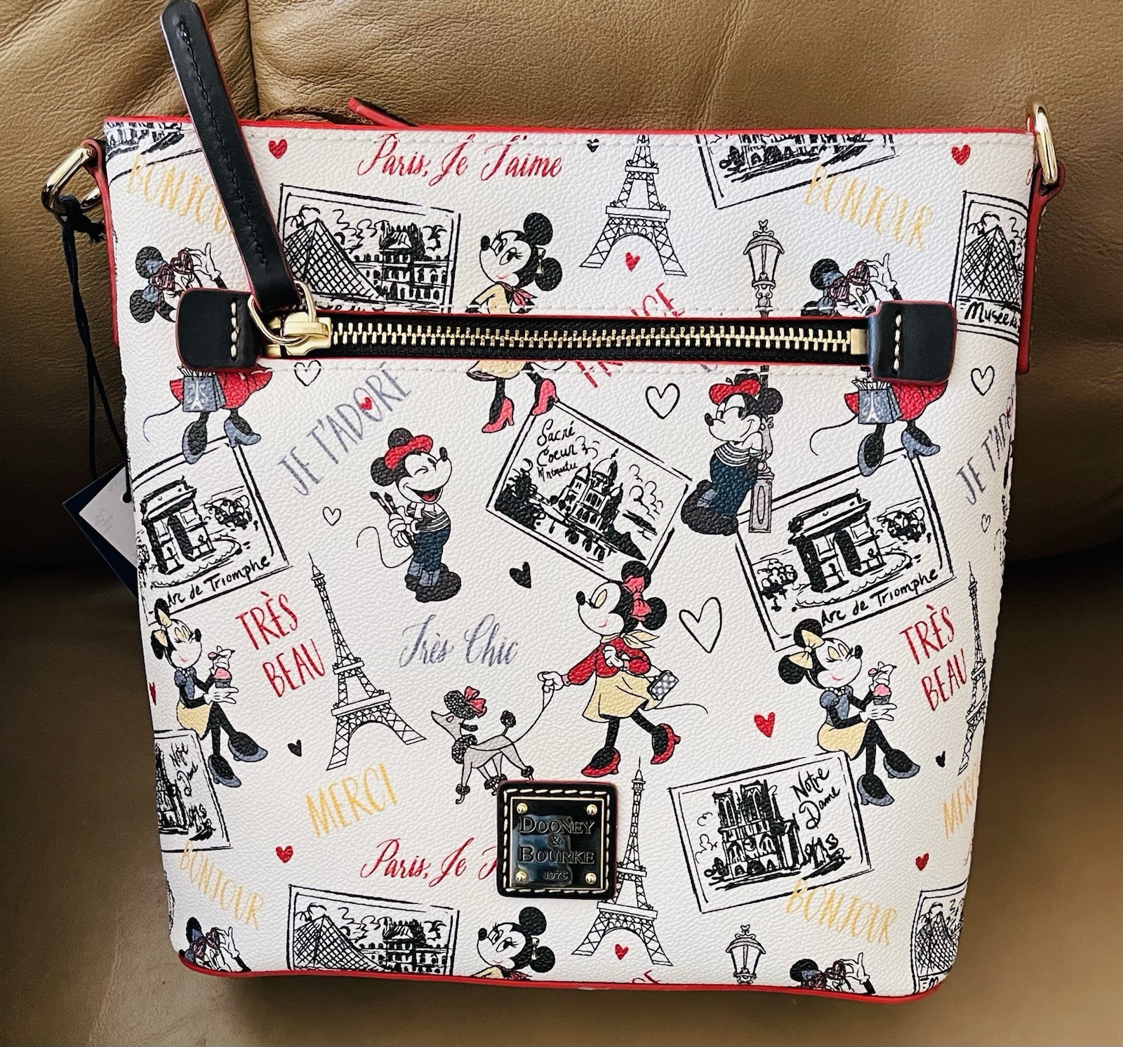 Disney Paris Theme Crossbody NWT Dooney Bourke Bag Purse New