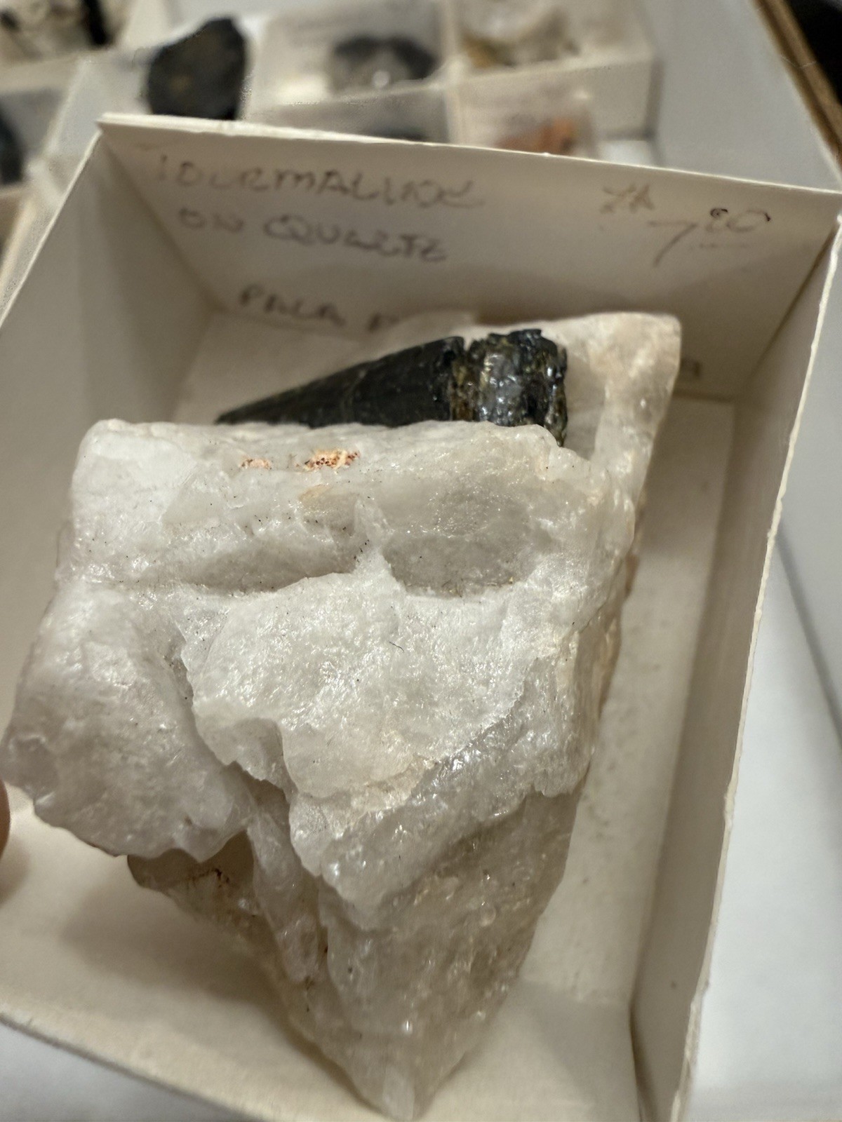 over 20 tourmaline specimens pala chief mine ca little three