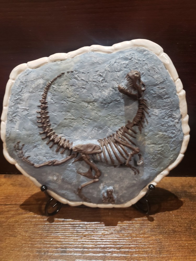 T-Rex Dinosaur fossil display