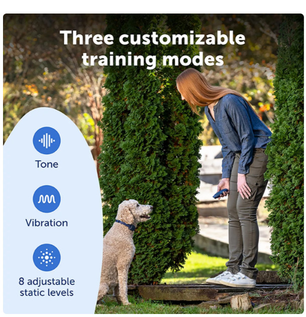 PetSafe Basic Dog Training Collar Remote 300ft Waterproof Rechargeable