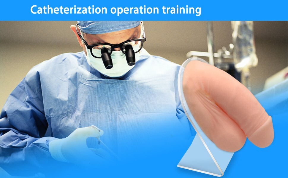 Urinary Catheterization Puncture Model Medical Operation Training Reusable Wide