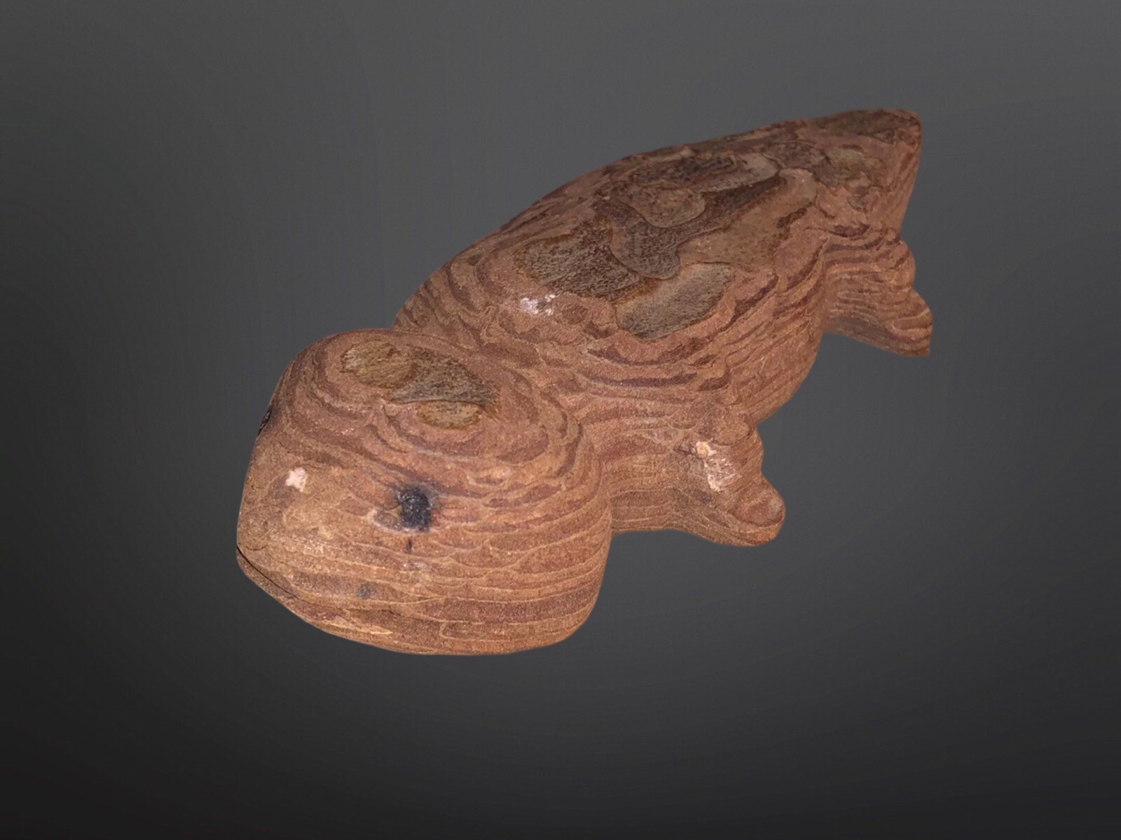 Circa 1910 Native American Tarahumara Carved Wood Lizard Fetish