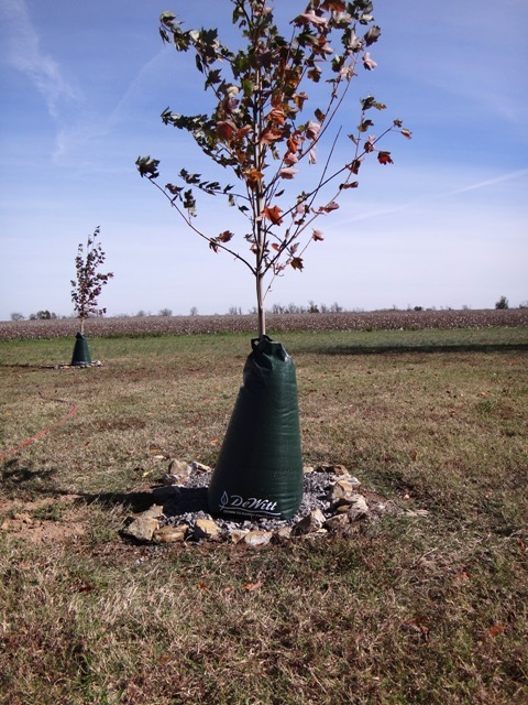 DeWitt Tree Watering Bag - Slow Release Irrigation 8-PACK