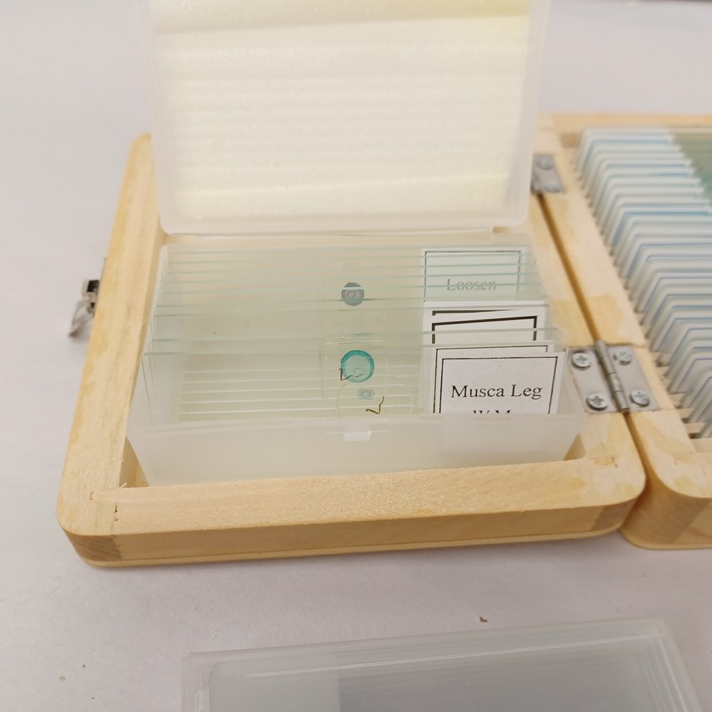 AmScope Glass Prepared Microscope Slides with Wooden Box